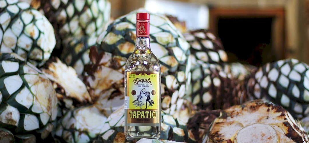 Tapatio : tequila artisanale emblématique élaborée dans les Highlands de Jalisco à partir d'agaves Blue Weber cultivés sur domaine pour offrir une expression authentique du terroir mexicain.
