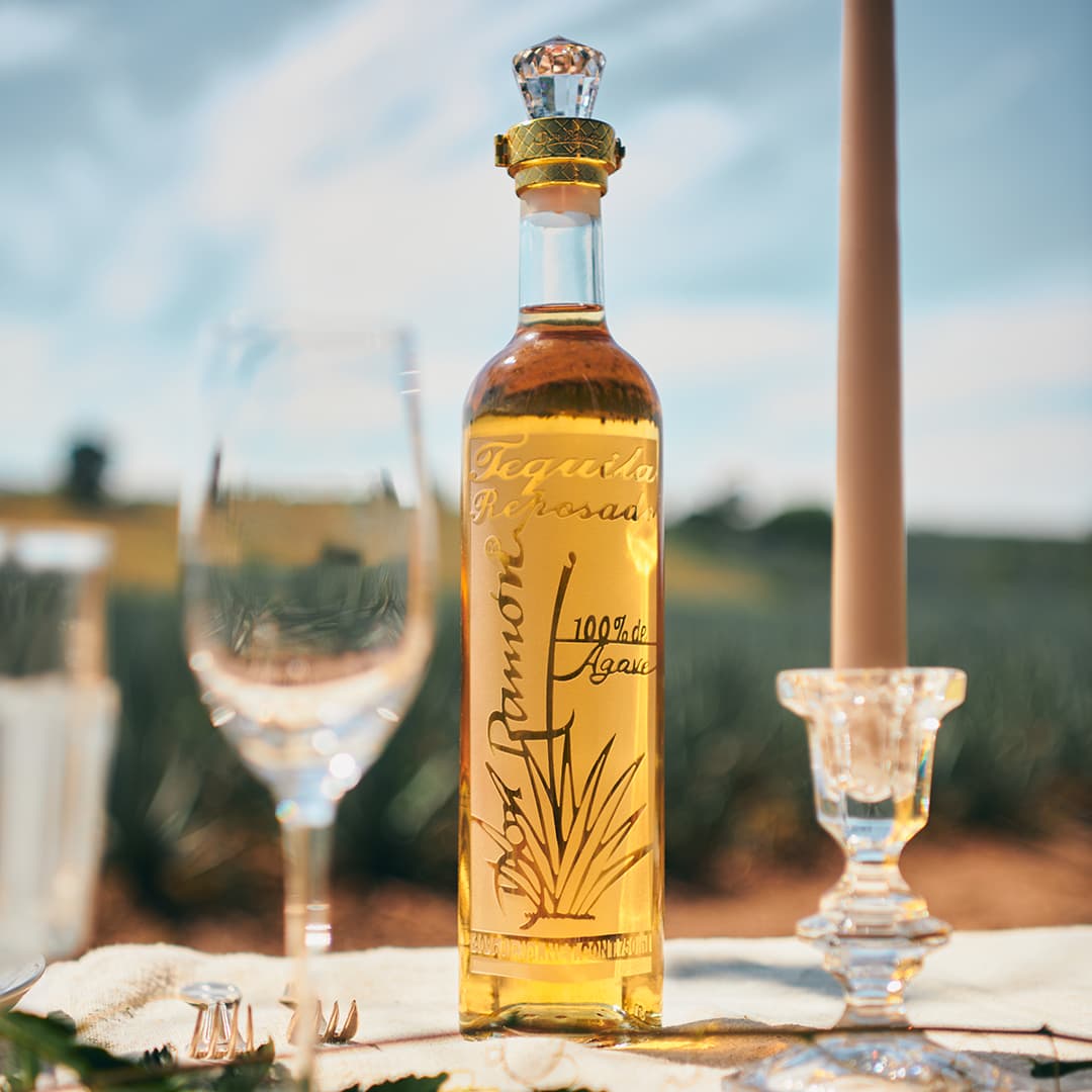 Casa Don Ramón : Tequila premium mexicaine élaborée dans les Highlands de Jalisco à partir d'agaves Blue Weber sélectionnés à maturité, combinant savoir-faire artisanal, innovation et luxe contemporain pour offrir une expérience de dégustation raffinée et authentique.